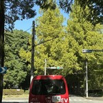 割烹 一の矢 - 一ノ矢宿舎の周囲のアケボノスギは枯れ始めた