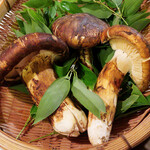 じどりや 穏座 - 