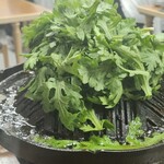 ジンギスカン羊はち - 