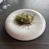 International cuisine subzero - 