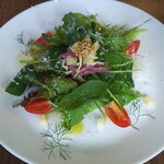 vitalab - 