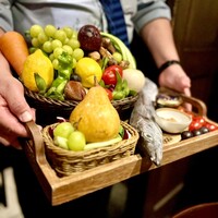 オッジ ダルマット 西麻布店 - 