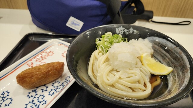Hanamaru Udon Ion Moru Nagoya Domu Mae Ten