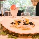 レフェルヴェソンス - 