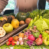 レフェルヴェソンス - 