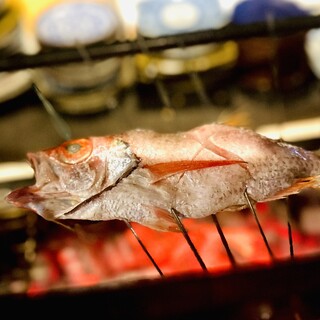 高級魚【のどぐろ】・【牡蠣】を一年中ご提供◆上質な黒毛和牛も