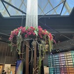 リュクス ダイニング ハプナ - 