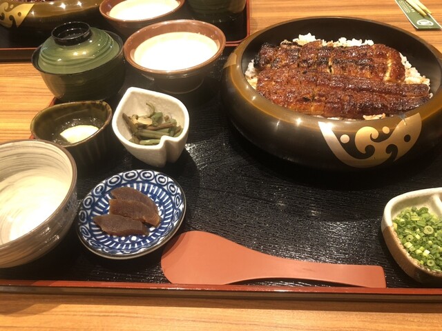 Unagi no Hisagoya