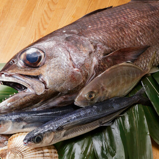 高知県『土佐清水』から漁港直送