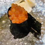晶 - 北海道　半熟イクラ