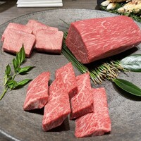 USHIGORO S. SHINJUKU - 