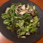 Spanish&Italian REGARIO - 