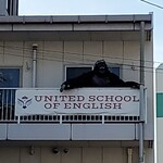 小麦そば 池 - 店舗正面にはゴリラ。