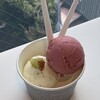 Eriko Osawa Earthly Gelato