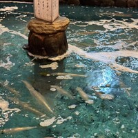 河太郎 中洲本店 - 