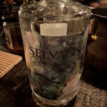 bar cacoi - SELVANS