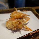 みかわ 是山居 - 車海老の頭
