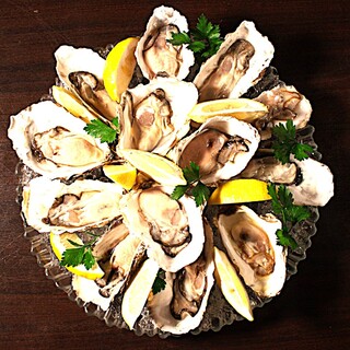 オイスタープラッターが愉しめる新プラン登場！！