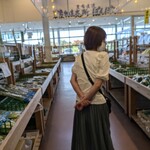 農産物直売所 ぽんぽこ - 店内