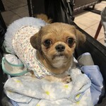 TGI FRIDAYS 神奈川芸術劇場店 - 