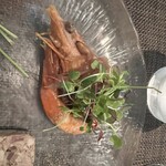 アンティーブ - 