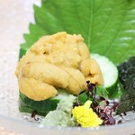 居酒屋　うみ幸 - 