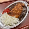 ゴーゴーカレー ビバシティ彦根パーク店
