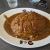 日乃屋カレー 秋田新国道店