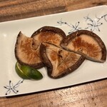 大衆割烹シラトリ - 