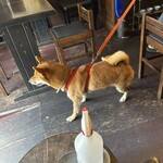 甘味処 柴ふく - 