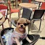 TGI FRIDAYS 神奈川芸術劇場店 - 