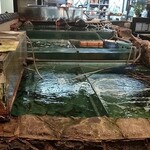 天草地魚料理 いけすやまもと - 