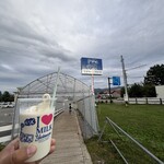 ヤツレン ソフトクリーム売店 - 