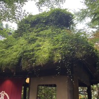 うかい鳥山 - 