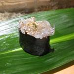 鮨 いし黒 - 白魚H26.10再訪