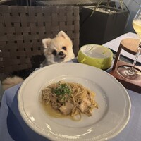 カシータ - 