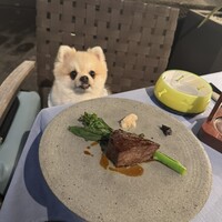 カシータ - 