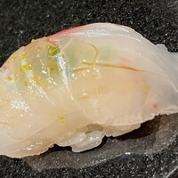 鮨と天草大王 天音 - 