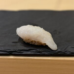 鮨 浜はち - アオリイカ