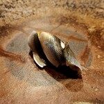 鮨 奥 - 二枚つけ  ちょうど小鰭とシンコの間程の大きさ