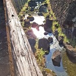 ガスト - メモ帳を引っ張り出してひィヒぃですし。私の脳内の、直ぐに取り出せる引き出しみたいなものは、極小サイズなので、記憶は奥の奥の最奥倉庫と云うか貸倉庫で距離離れている場所に保管するしか出来ヒんのでしてナ…。