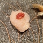 すし家 - H26.11 白海老