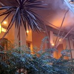 サンマルクカフェ - カフェの方のクロワッサン、ロゴマークの" チョコクロ "のイメージが、私には強かったからでしょうか。レストランさんの方で、メインの料理をオーダーし、焼き立てのパンを店員さんが配って回られて、戴く事が