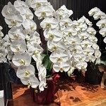 ALL DAY DINING FUDO - 