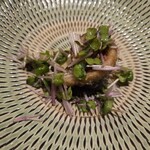 アレグロ コン ブリオ - 