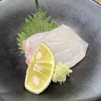 大阪 京橋 鮨 黒潮海閤 - 
