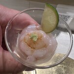 北新地 寿司馬光 - 