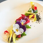 プレゼンテ スギ - 