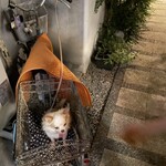 讃岐の味 岩久 - 