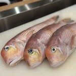 小田 - 